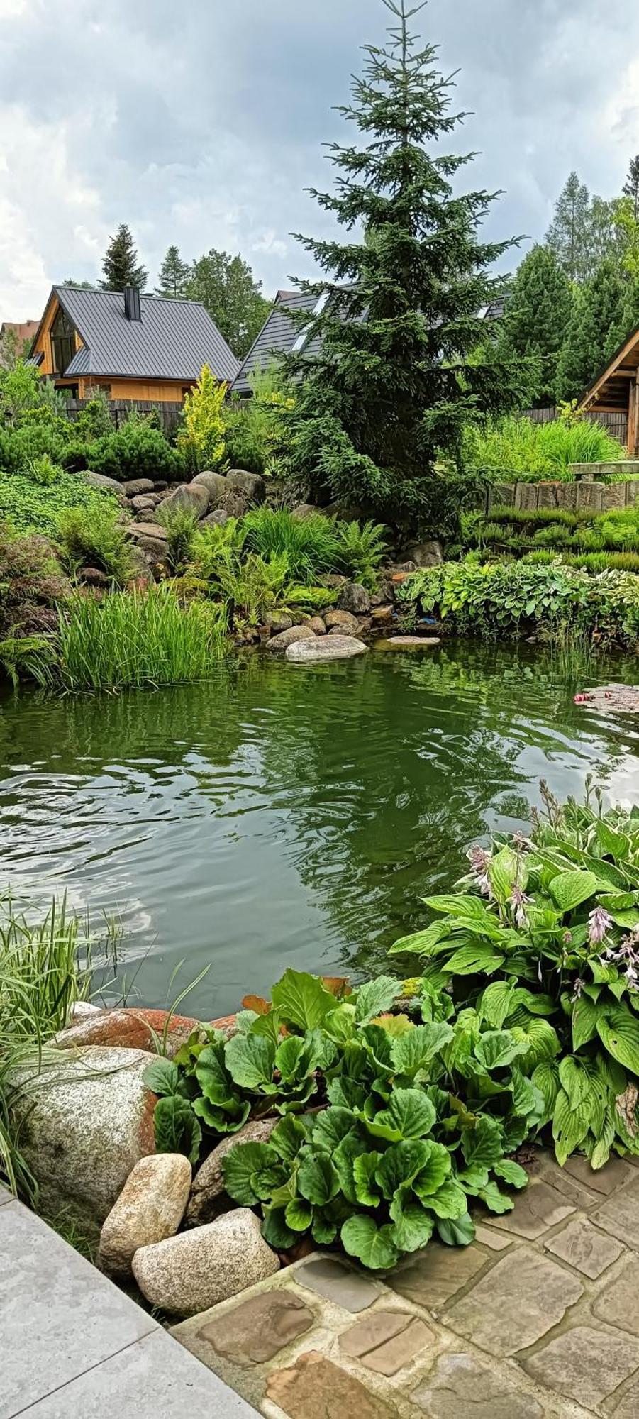 זקופאנה Apartament Nad Stawem מראה חיצוני תמונה